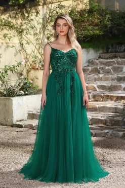 Robe de bal chic longue dos nu